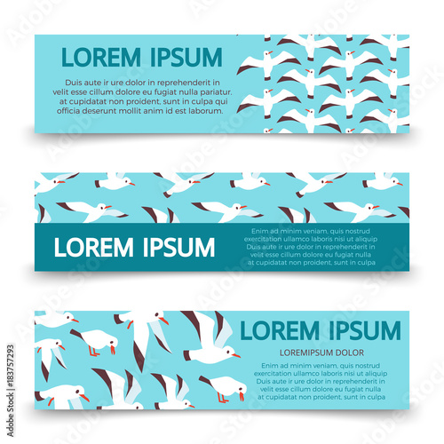 Flat atlantic seabirds banners template design
