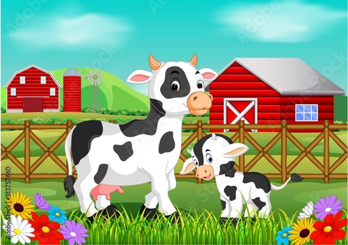 cute cow in the farm