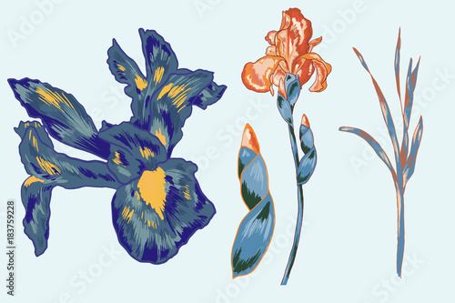 Blue Iris Vector Element Pack