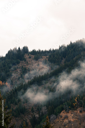 Autumn scenery from Rhodopi mountains, Bulgaria