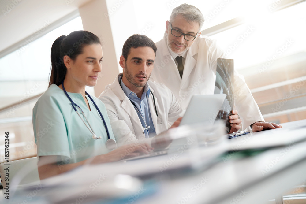 Fototapeta premium Medical team checking Xray results