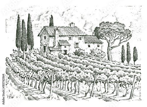 rustic vineyard. rural landscape with houses. solar tuscany background. fields and cypress trees. harvesting and haystacks. engraved hand drawn in old sketch and vintage style for label.