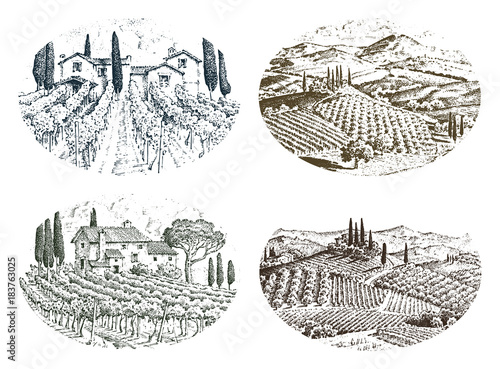 rustic vineyard. rural landscape with houses. solar tuscany background. fields and cypress trees. harvesting and haystacks. engraved hand drawn in old sketch and vintage style for label.