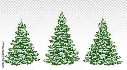  set of beautiful Christmas trees in the snow. Christmas. Winter. Nature in details. Drawing. Vector. Eps 10.
