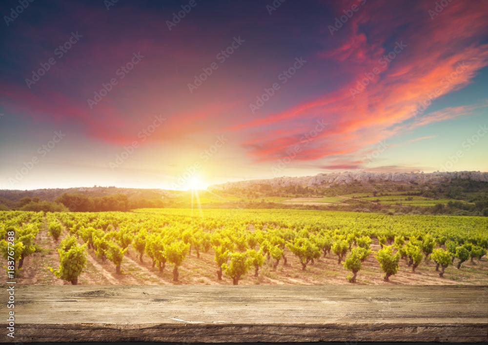 Naklejka premium Red wine with barrel on vineyard in green Tuscany, Italy