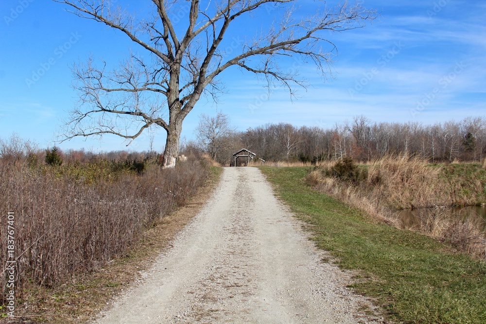 The long gravel road on the park landscape on a sunny day. The long gravel road on the park landscape on a sunny day.