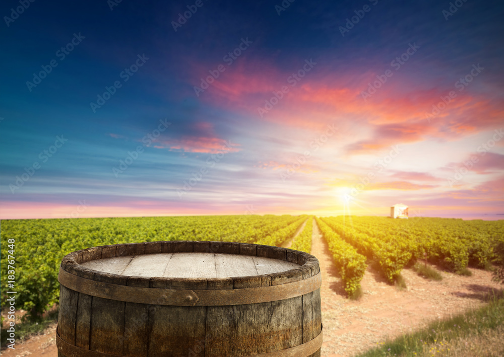Naklejka premium Red wine with barrel on vineyard in green Tuscany, Italy