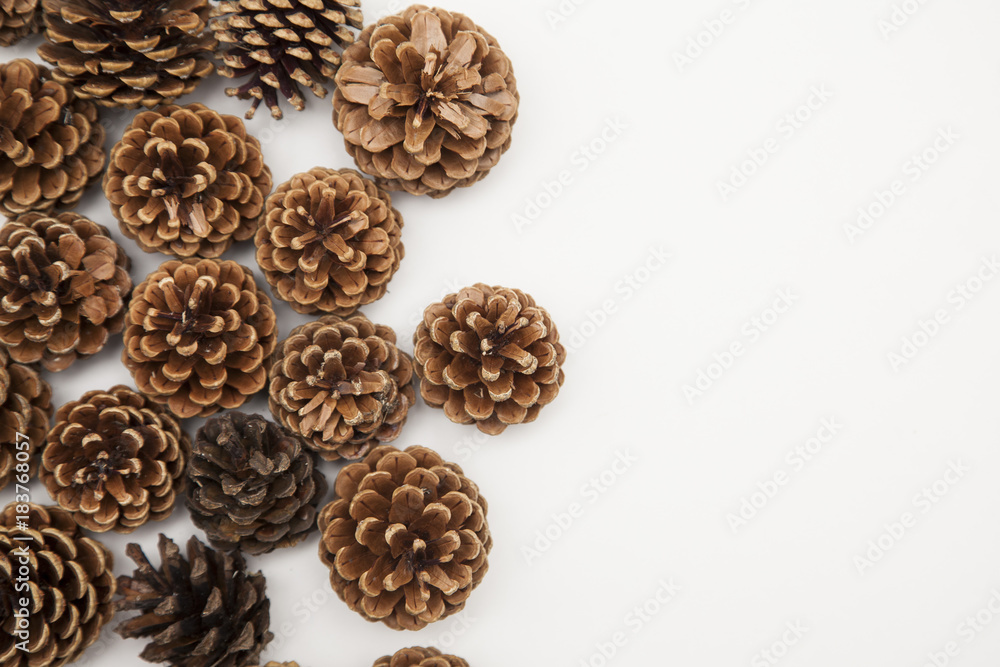 pine cone arrangement on a white background. pine cone arrangement on a white background.