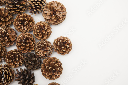 pine cone arrangement on a white background. 