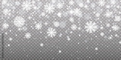 Falling snow on a transparent background. Vector illustration 10 EPS. Abstract snowflake background. Fall of snow. photo