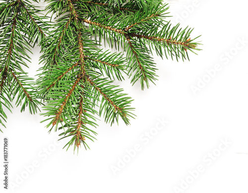 Mockup Christmas tree branches border over white isolated background, with space for your text