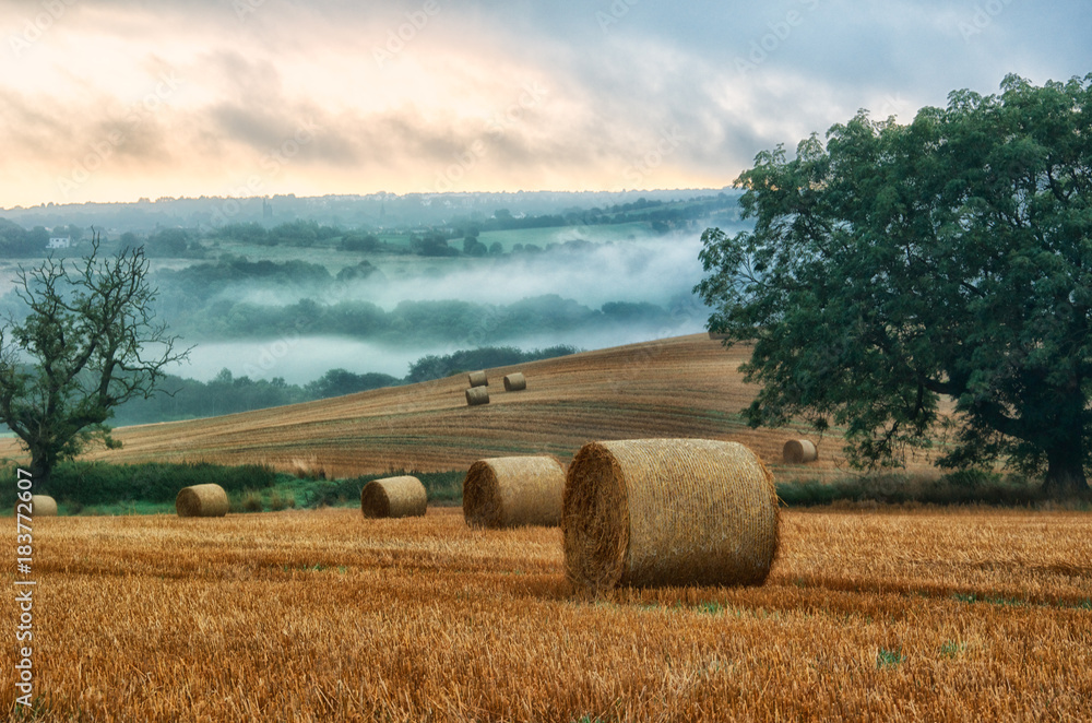Autumn and Harvest in the English Countryside
