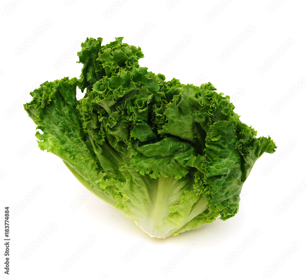 Bunch of fresh green salad isolated over white Bunch of fresh green salad isolated over white