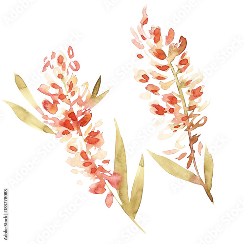 Flowers leaves. Element for postcards on white background.