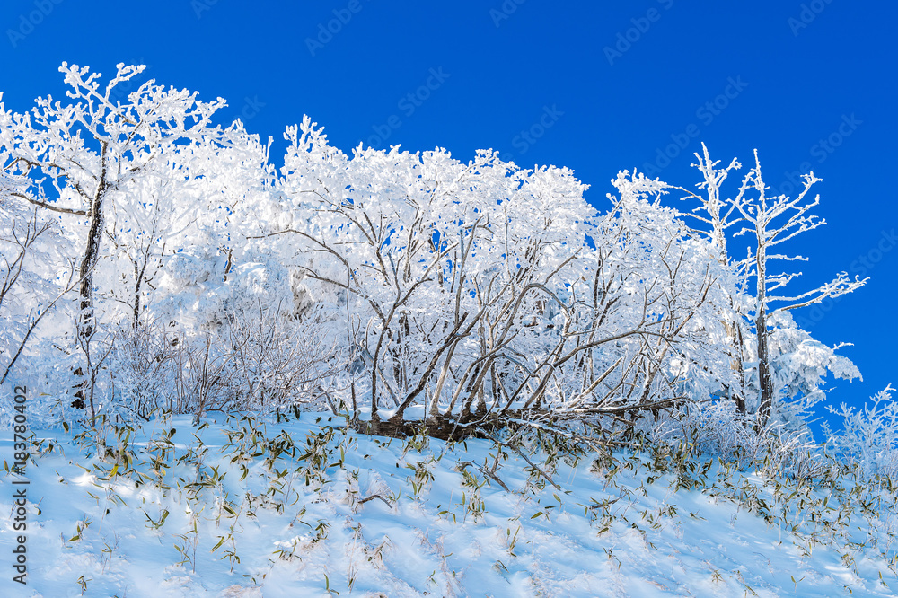 Deogyusan mountains is covered by snow in winter,South Korea. Deogyusan mountains is covered by snow in winter,South Korea.