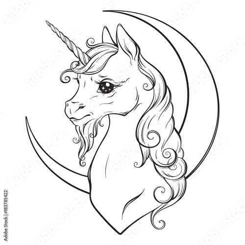 Little unicorn and crescent moon isolated vector illustration. Coloring book pages for adults and kids