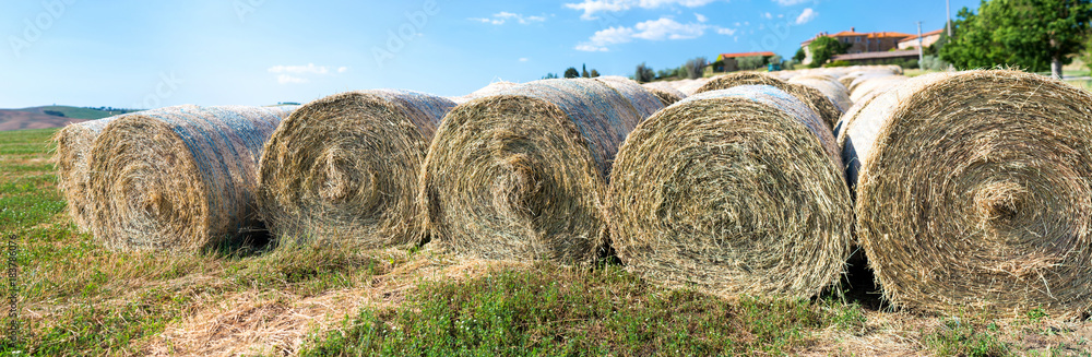 Panoramic landscape view of hay bales, Tuscany in spring Panoramic landscape view of hay bales, Tuscany in spring