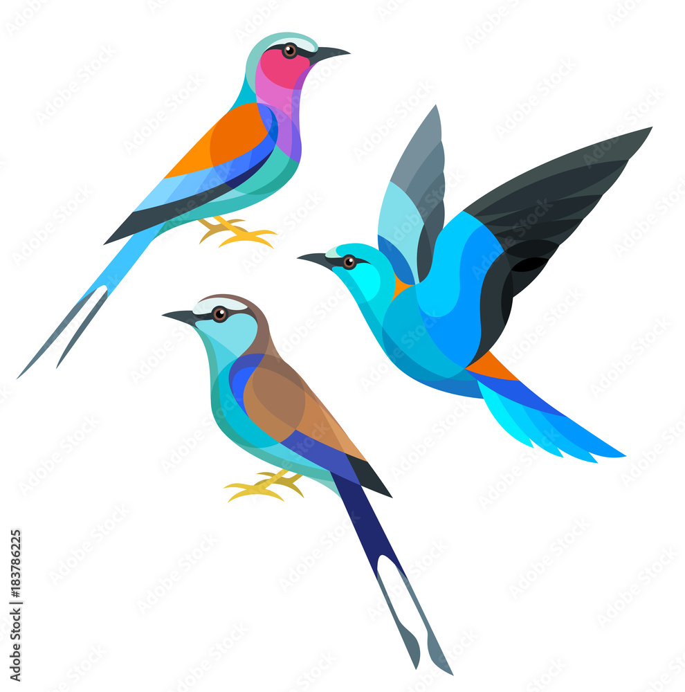 Stylized Birds - Lilac-breasted, European and Racquet-tailed Roller