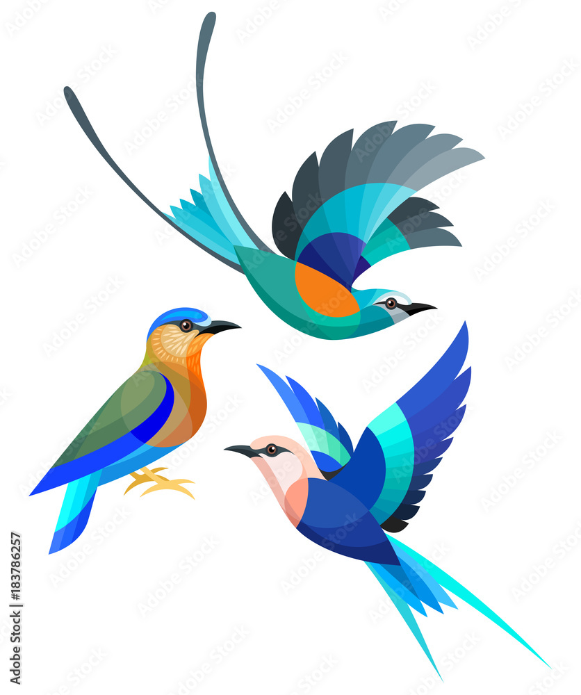 Obraz premium Stylized Birds - Abyssinian, Indian and Blue-bellied Roller