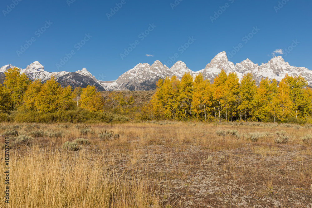 Teton Autumn Landscape