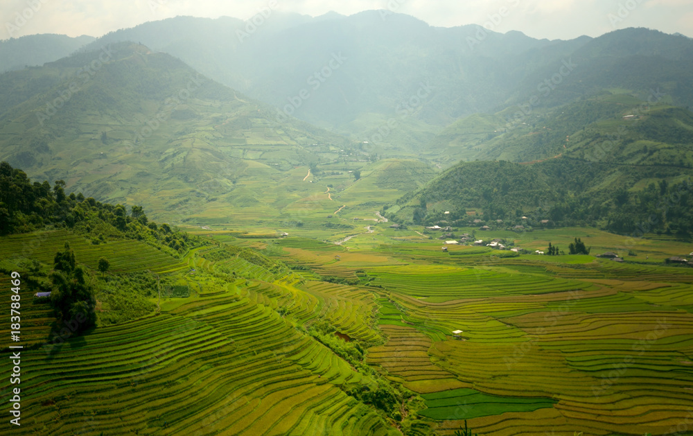 Vietnam Beautiful mountain landscape and rice terrace green and yellow in rice field.