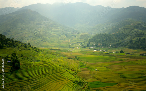 Vietnam Beautiful mountain landscape and rice terrace green and yellow in rice field. © EmmaStock