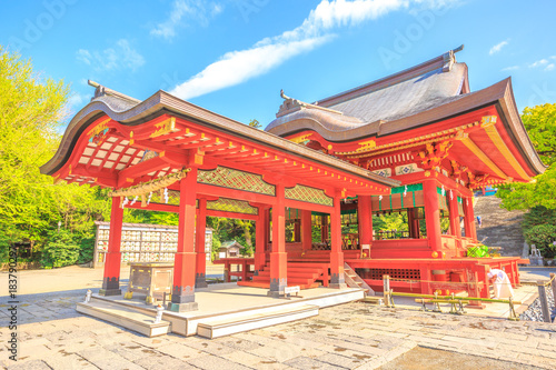 Red architecture of Tsurugaoka Hachiman  the most important Shinto shrine in the city of Kamakura  Kanagawa Prefecture of Japan. Springtime in the blue sky.