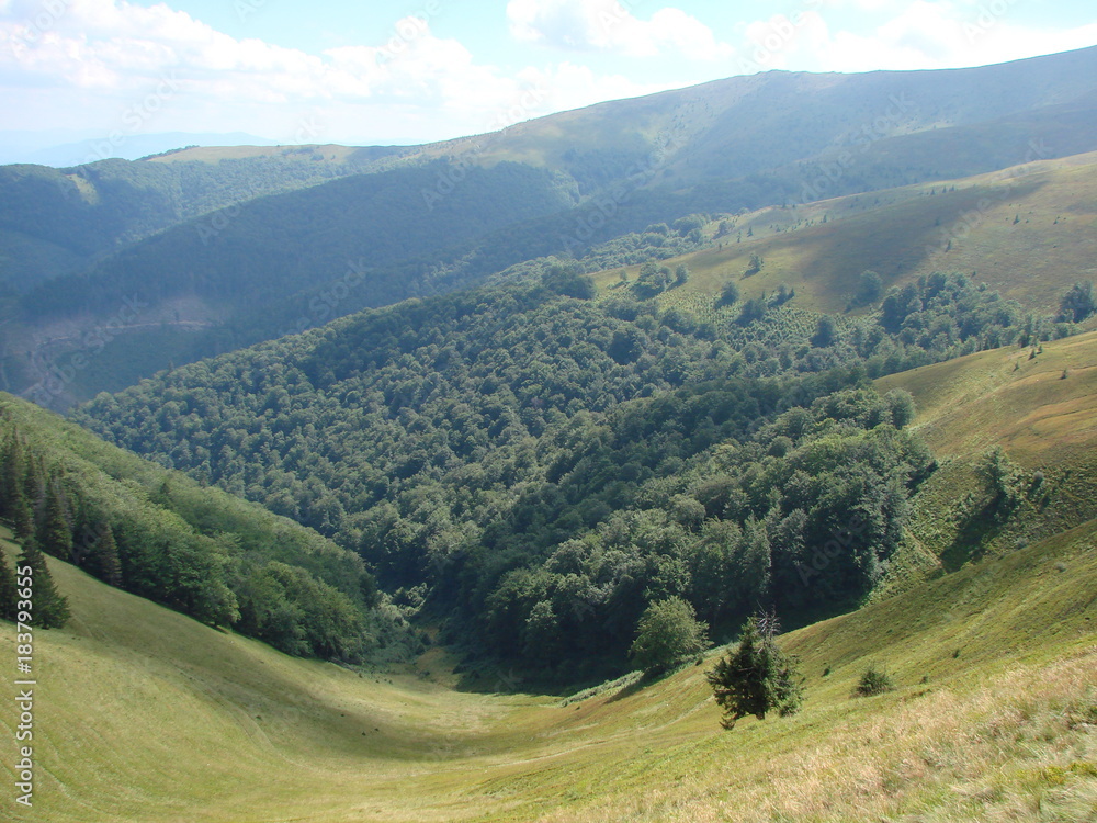 Obraz premium Panorama of mountain forests on the slopes of the Borzhava Range of the Ukrainian Carpathians.