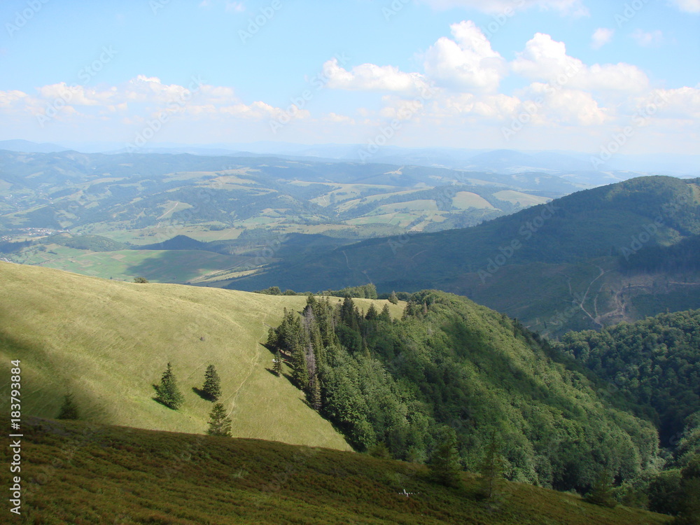 Panorama of mountain forests on the slopes of the Borzhava Range of the Ukrainian Carpathians. Panorama of mountain forests on the slopes of the Borzhava Range of the Ukrainian Carpathians.