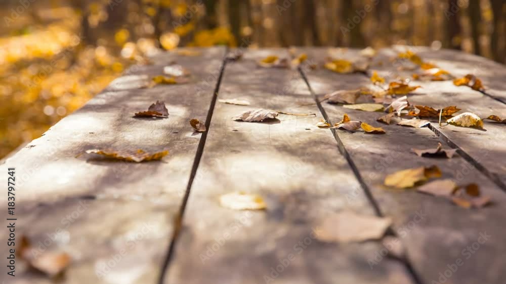 The old beautiful table is covered with yellow leaves. The old beautiful table is covered with yellow leaves.