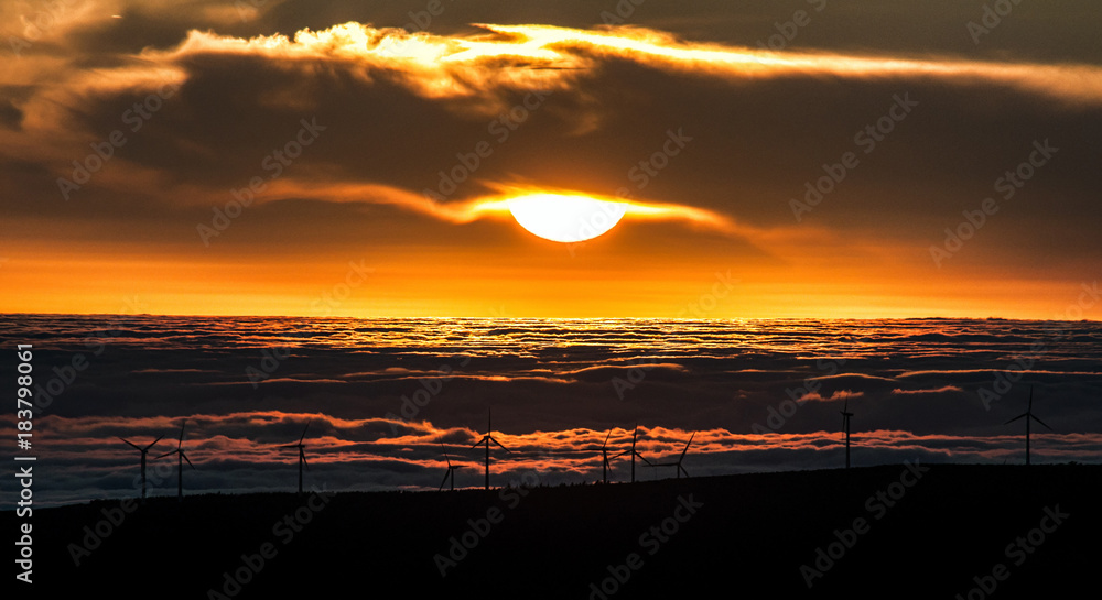 Naklejka premium Coucher de soleil
