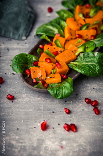 Pak Choi Kürbis Salat mit Granatapfelkernen photo