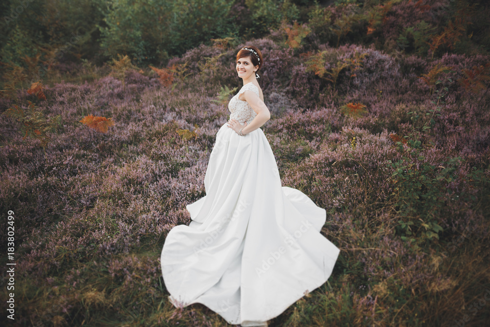 Bride in wedding dress posing on grass with beautiful landscape background