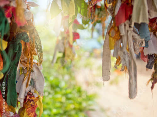 Ribbons tied to branches, Koneswaram Kovil temple, Trincomalee, Sri Lanka photo