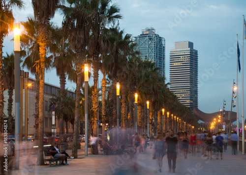 Palm alley on waterfront in Barcelona in summer evening