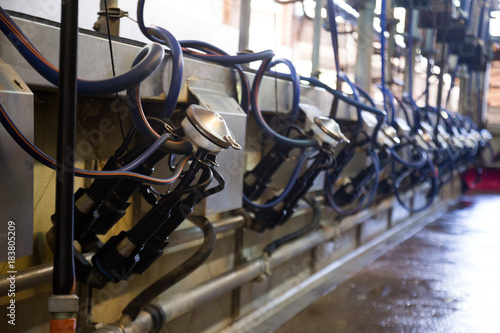 Photo Mechanized milking equipment