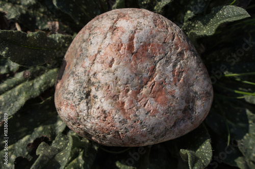 Photography Beautiful stone on grass