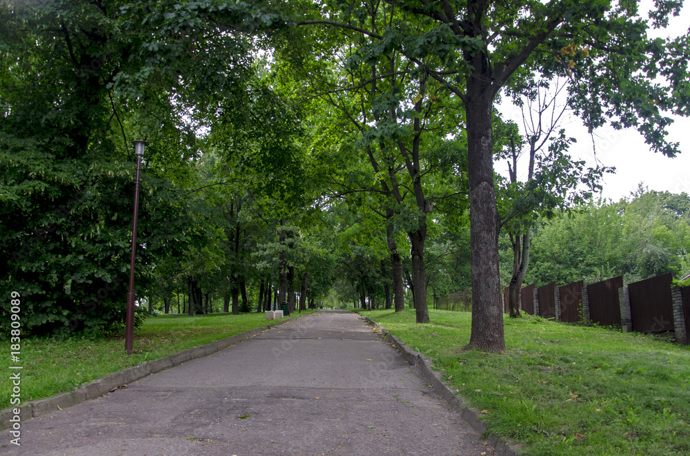 alley in the park alley in the park