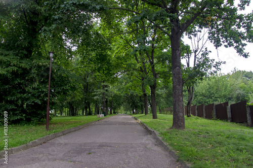  alley in the park