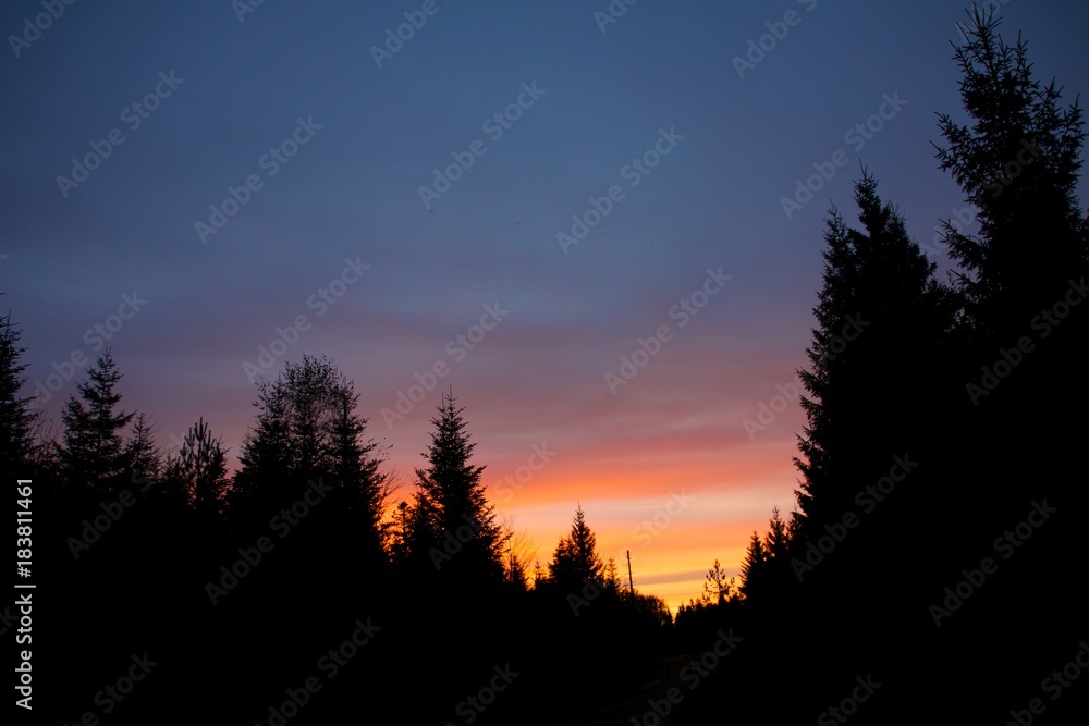 Obraz premium Schwarzwald, Holoh, Kaltenbronn, Hochmoor