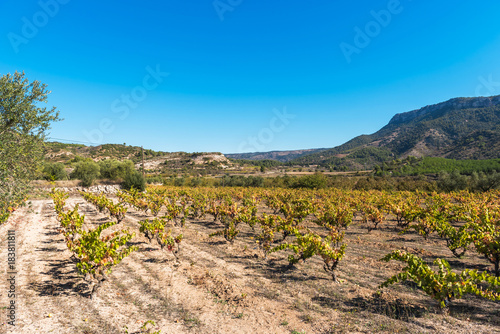 Rocky landscape in Siurana de Prades, Tarragona, Catalunya, Spain. Copy space for text.