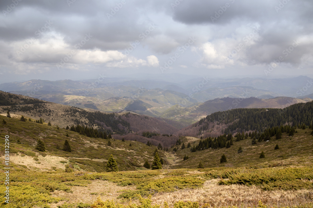 Mountain Kopaonik spring landscape