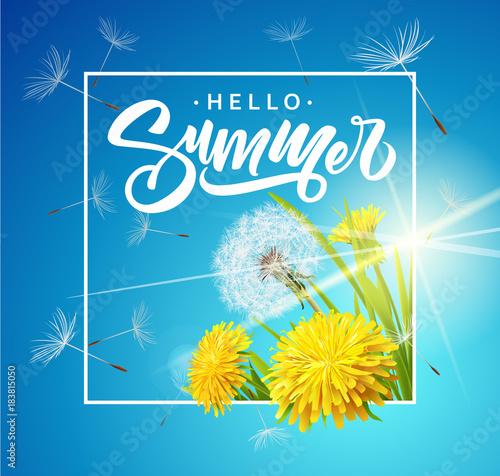 Fototapeta Naklejka Na Ścianę i Meble -  Inscription Summer on background with summer flowers and grass