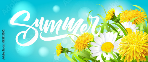 Fototapeta Naklejka Na Ścianę i Meble -  Inscription Summer on background with summer flowers and grass