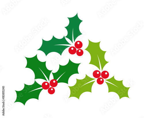 Christmas holly berries mistletoe