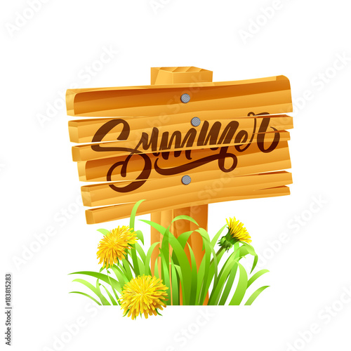 Fototapeta Naklejka Na Ścianę i Meble -  Inscription Summer on background with summer flowers and grass