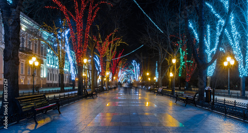 Winter city illumination  Odessa  Ukraine