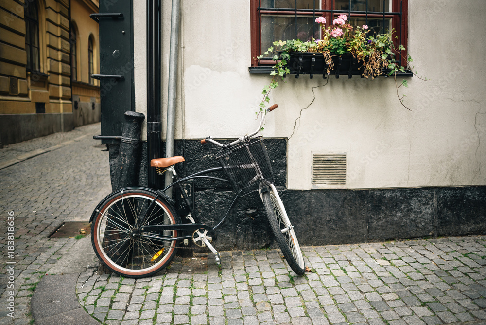 Bicycle near the wall of a city house. Flowers on a window sill over the bicycle.