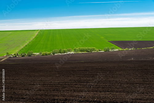 Idyllic rural view of pretty farmland in the spring - focus on foreground