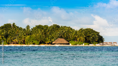 Fototapeta Naklejka Na Ścianę i Meble -  View of a tropical island with coconut palms on a sandy beach, Maldives, Indian ocean. Copy space for text.